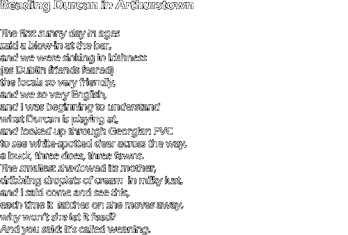 A Dutchman's Passion