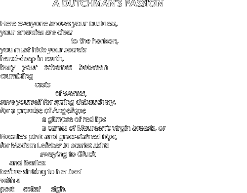 A Dutchman's Passion