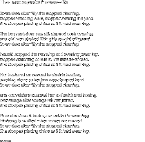 The Inadequate Housewife